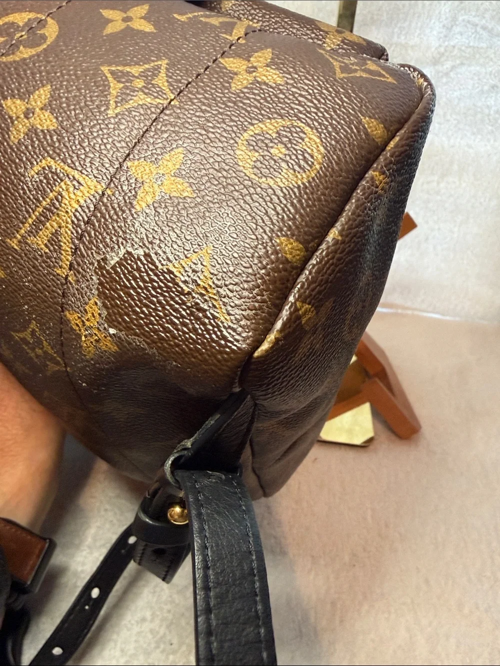Louis Vuitton Palm Springs Monogram Mini Backpack with Gold Hardware